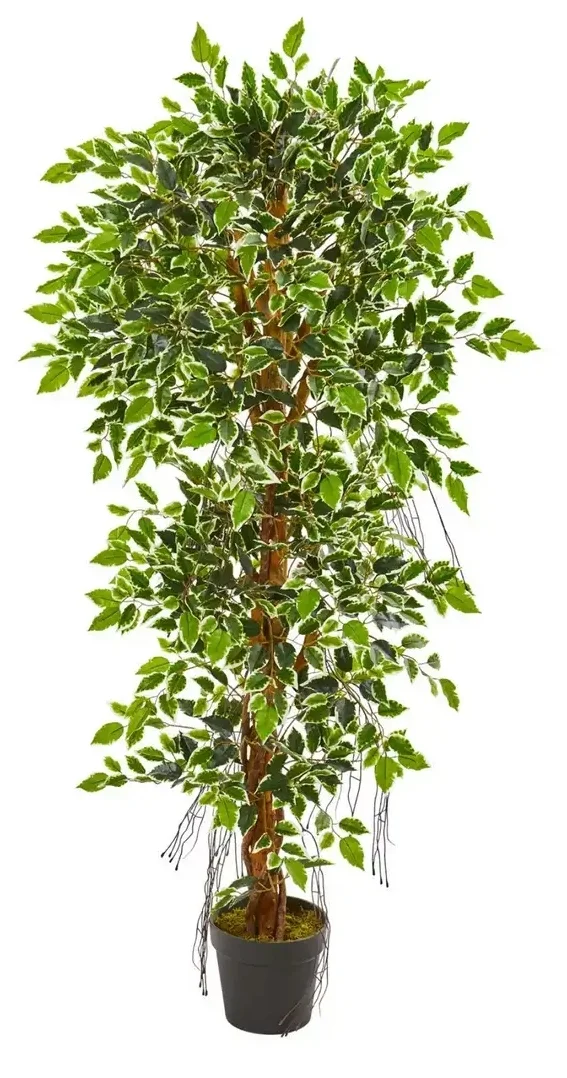 SmartSelect_20191113-125010_Samsung Internet.webp