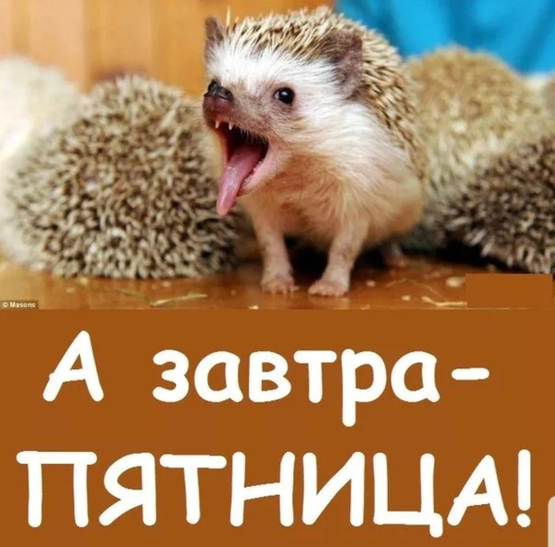 SmartSelect_20200123-202836_Samsung Internet.webp