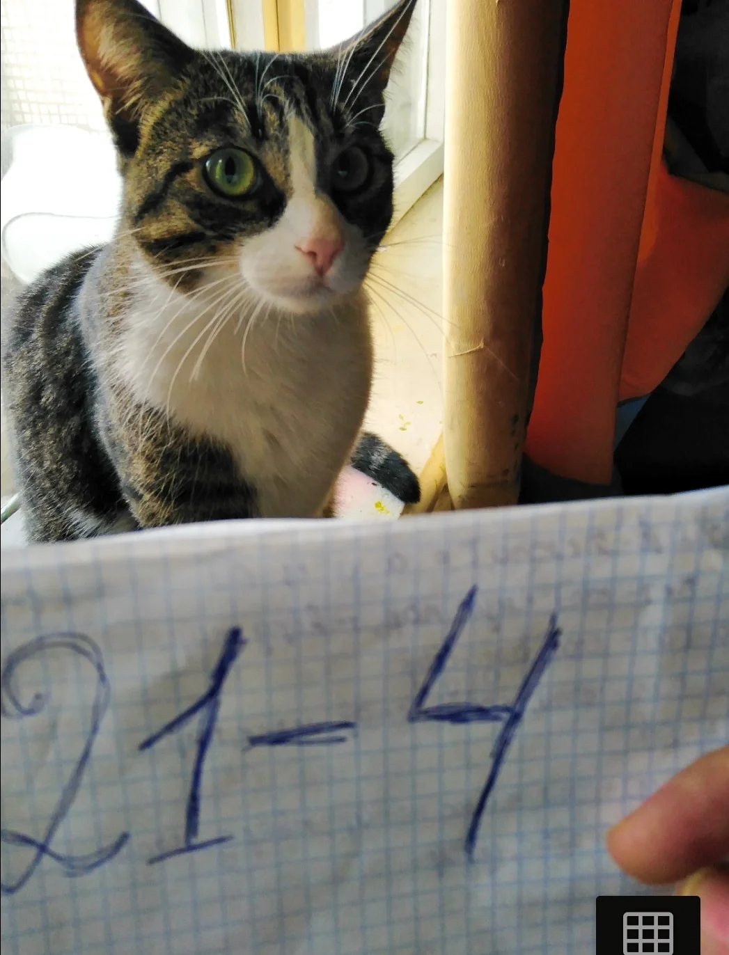 SmartSelect_20200323-121932_Samsung Internet.webp