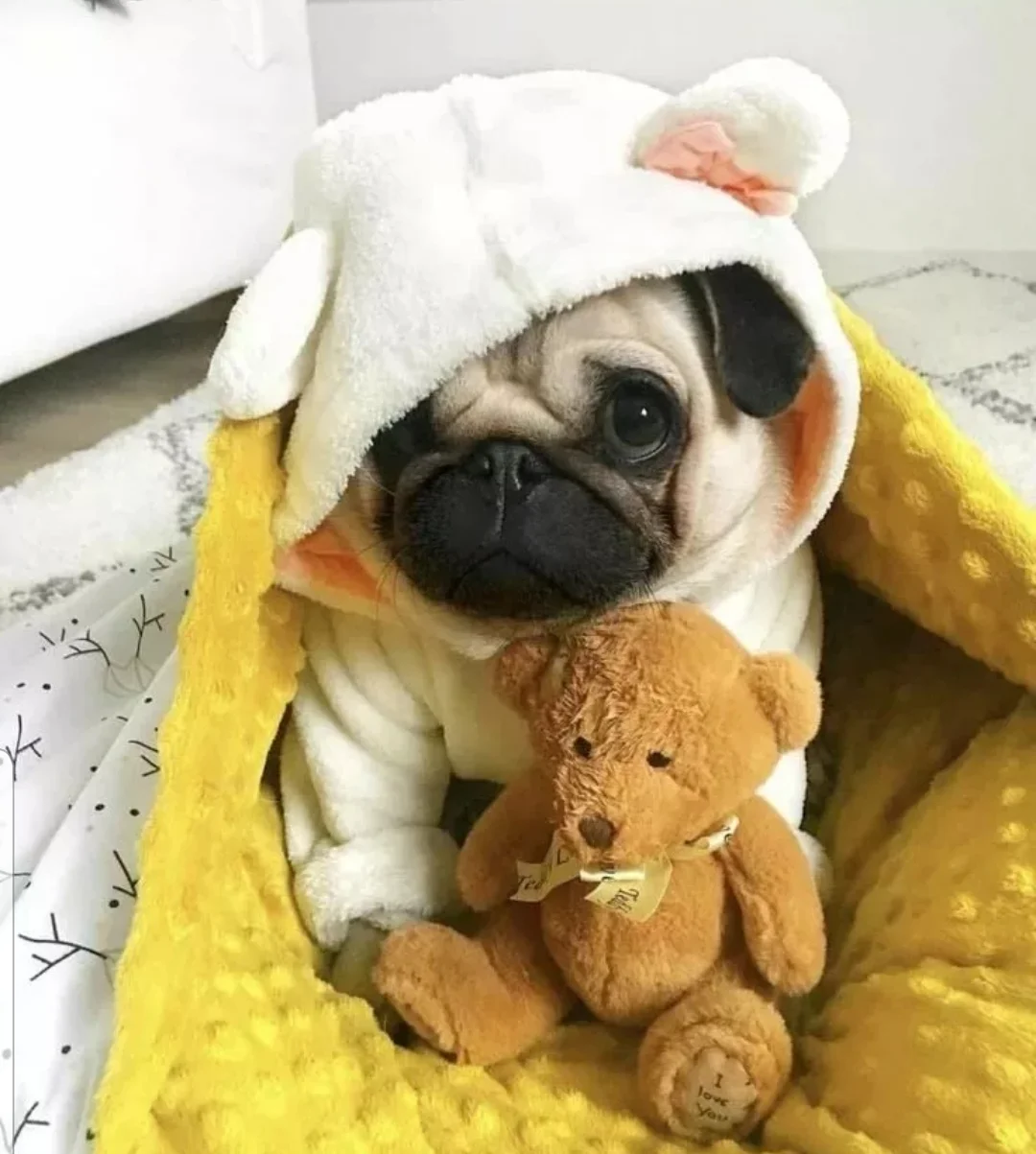 SmartSelect_20200520-104943_Samsung Internet.webp