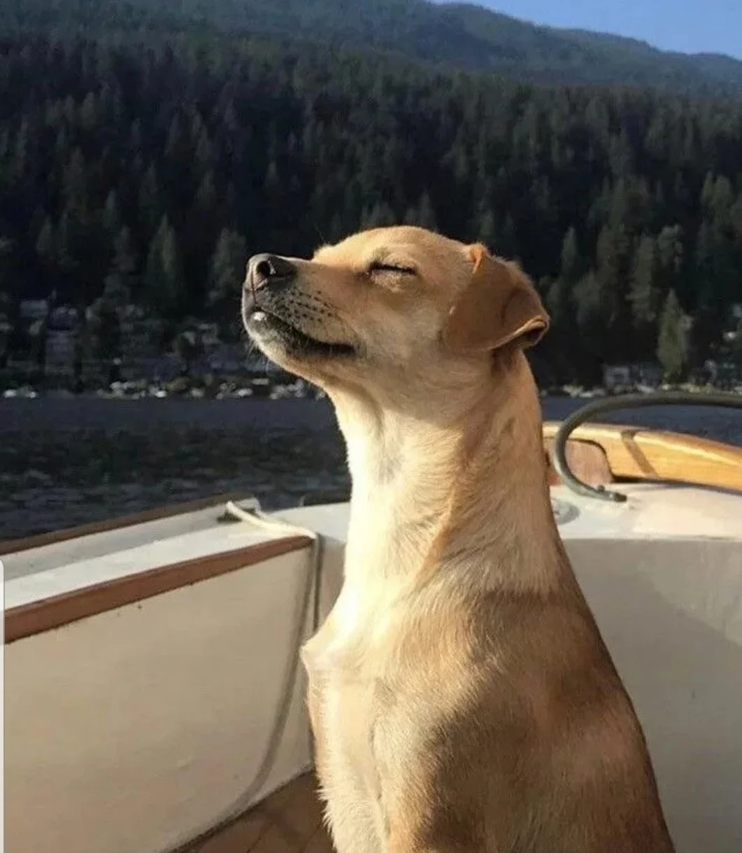 SmartSelect_20200520-105029_Samsung Internet.jpg