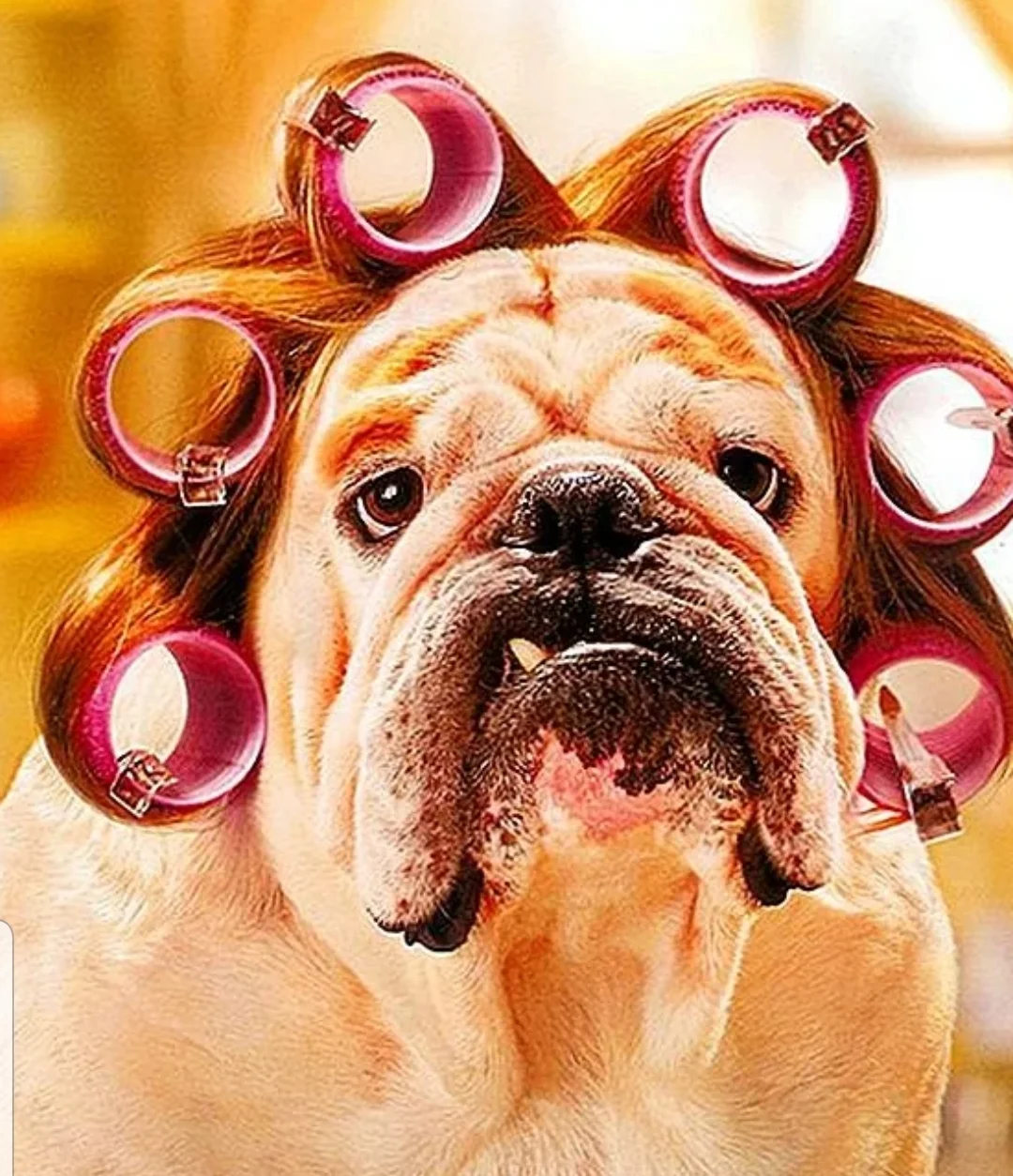 SmartSelect_20200520-105124_Samsung Internet.webp