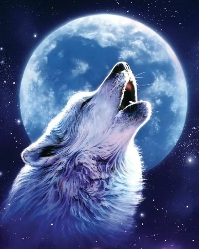 SmartSelect_20200606-231528_Samsung Internet.webp