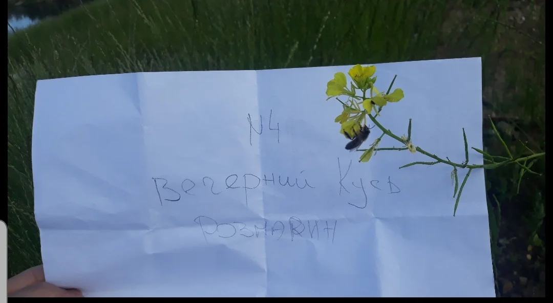 SmartSelect_20200616-090159_Samsung Internet.webp