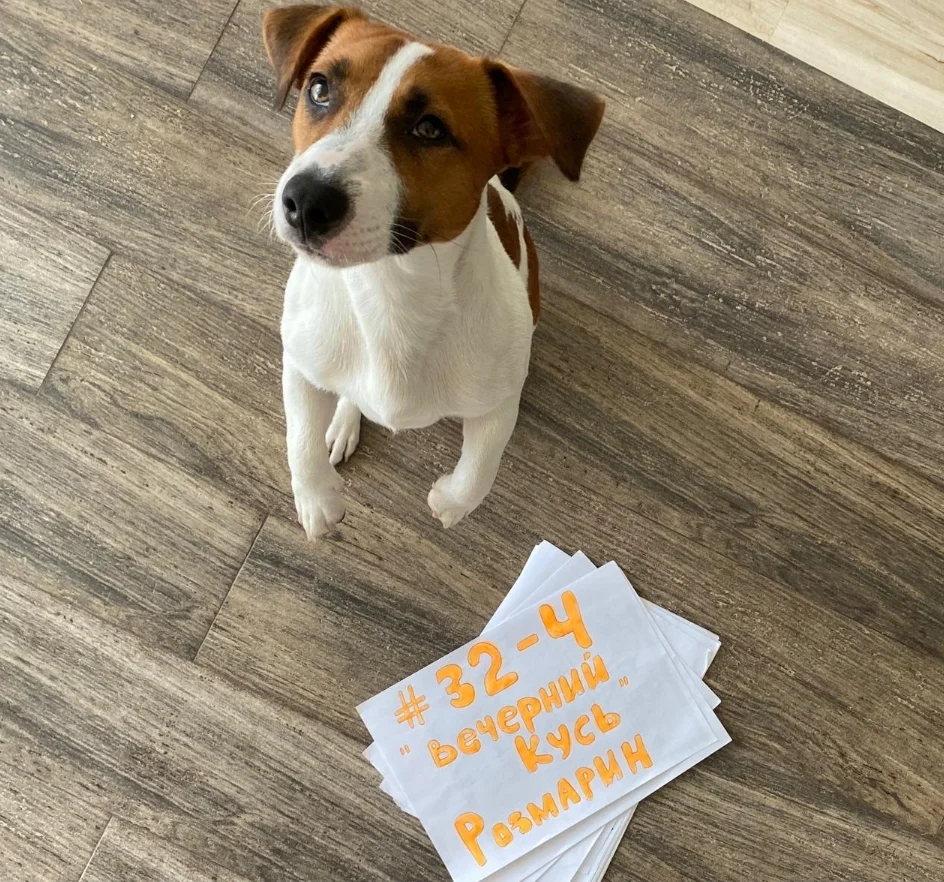 SmartSelect_20200616-162232_Samsung Internet.webp