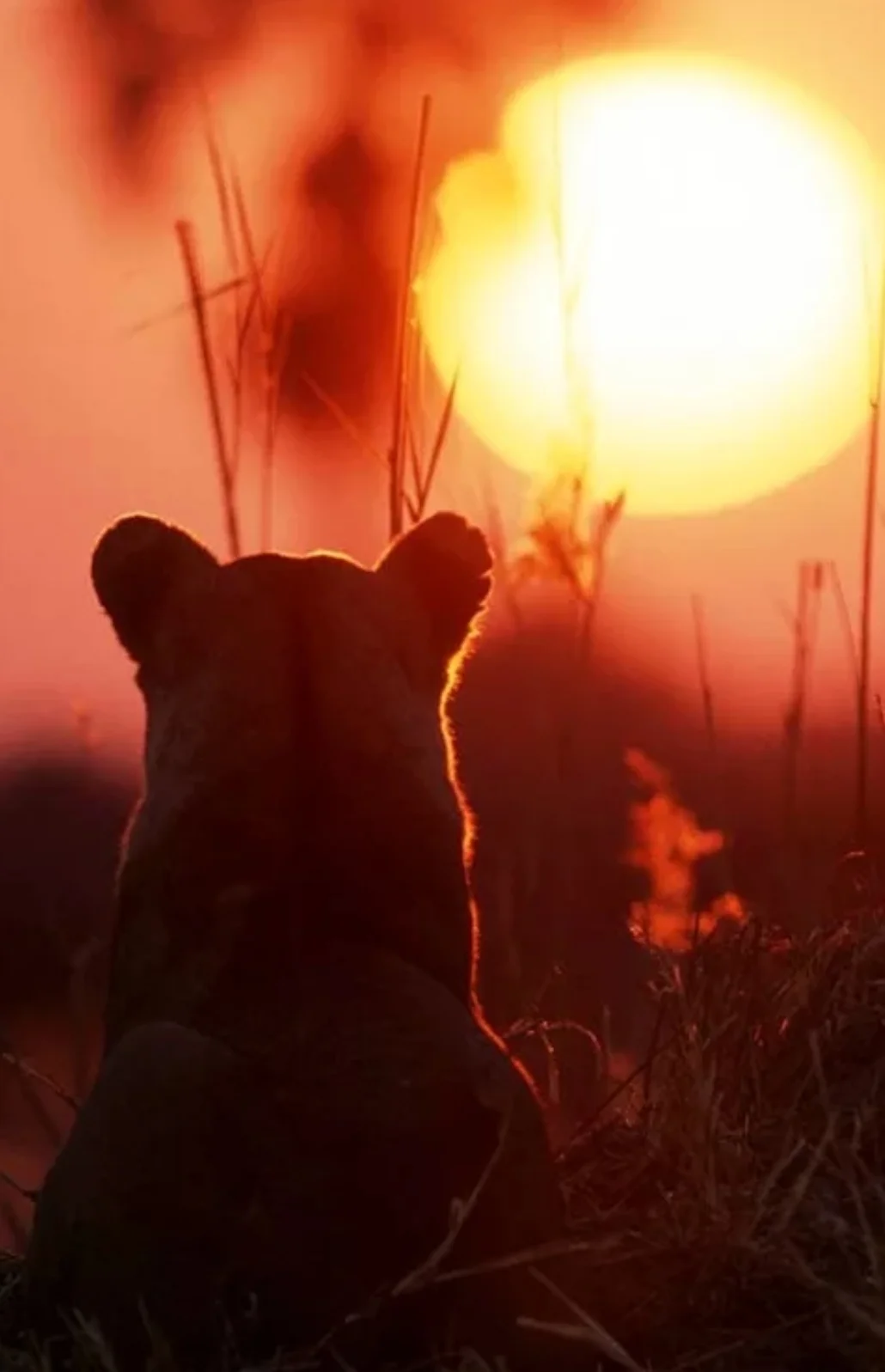 SmartSelect_20200712-100509_Samsung Internet.webp