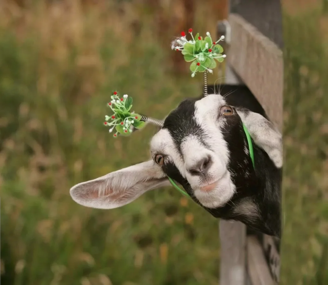 SmartSelect_20200712-100828_Samsung Internet.webp