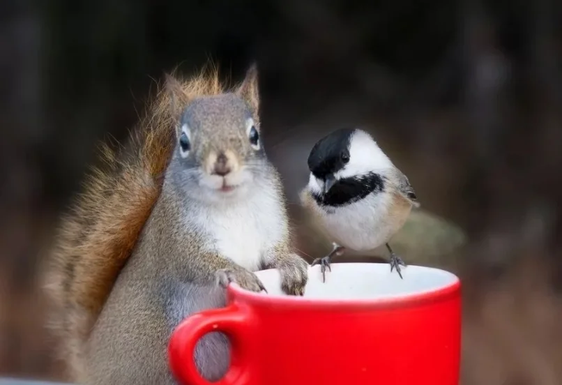 SmartSelect_20200716-102648_Samsung Internet.webp