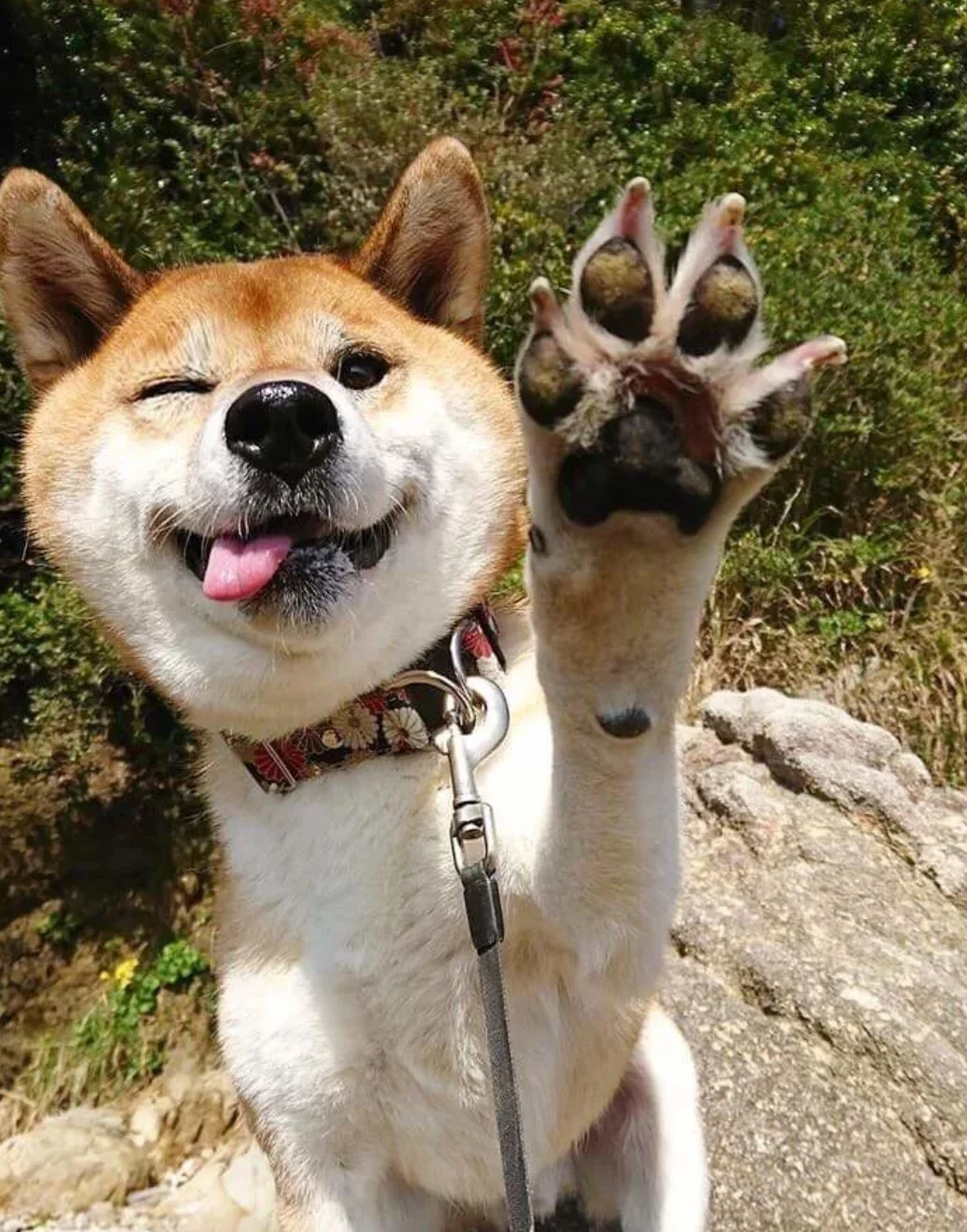 SmartSelect_20200724-104617_Samsung Internet.webp