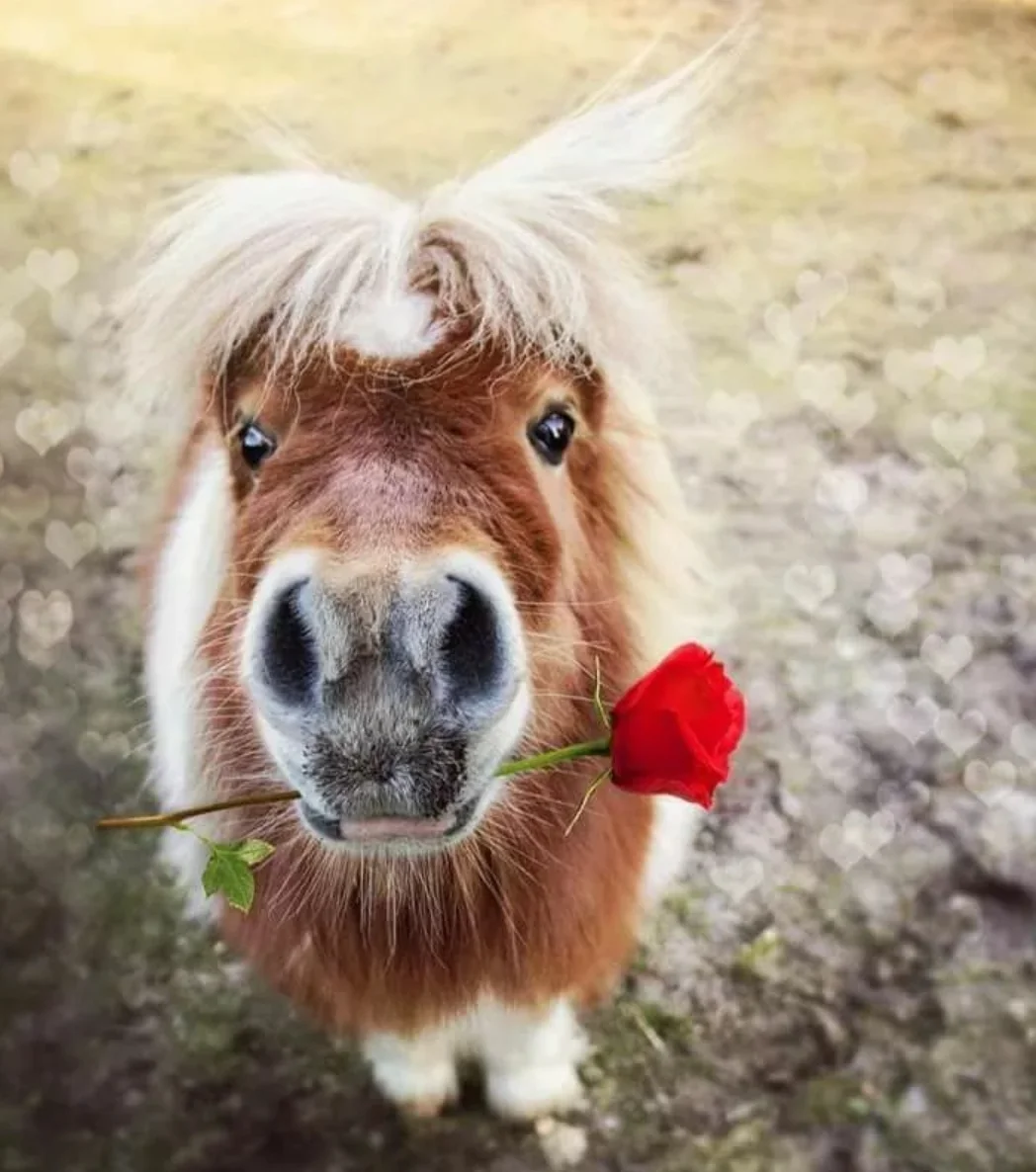 SmartSelect_20200727-095435_Samsung Internet.webp