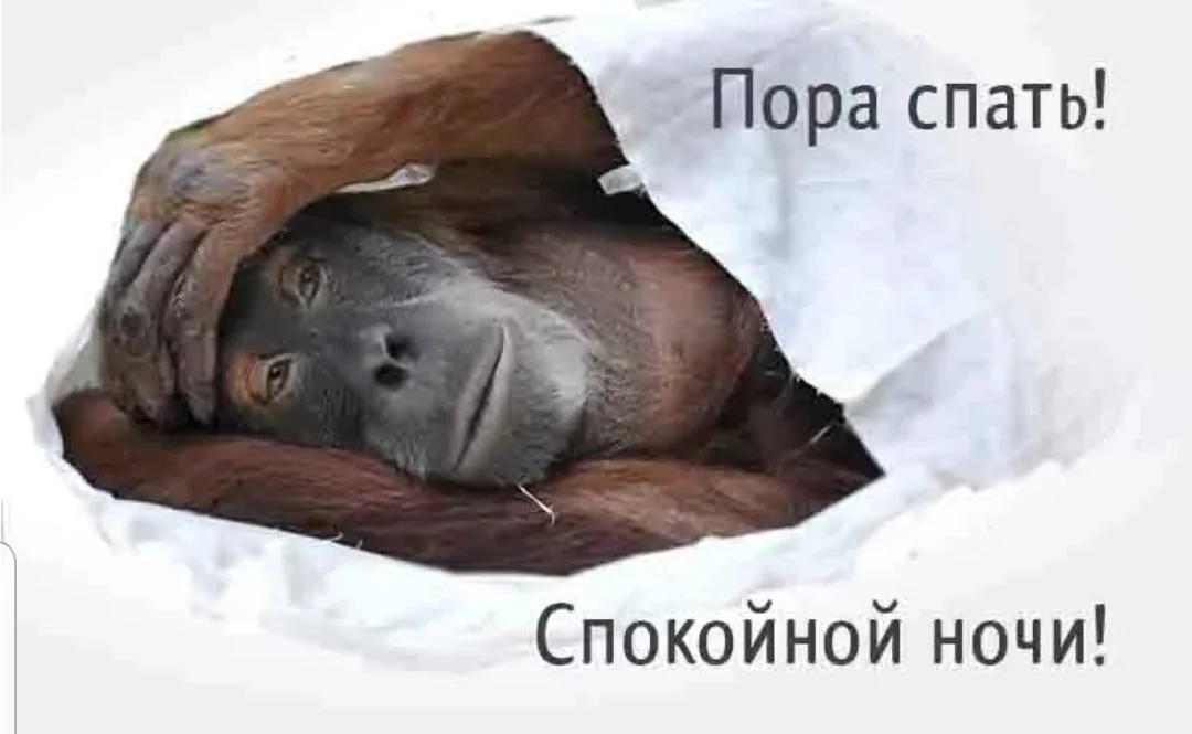 SmartSelect_20200729-232430_Samsung Internet.webp