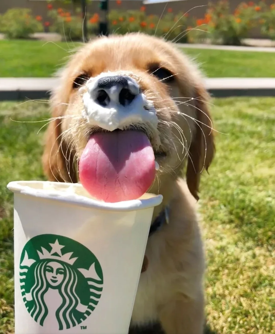 SmartSelect_20200813-094835_Samsung Internet.webp