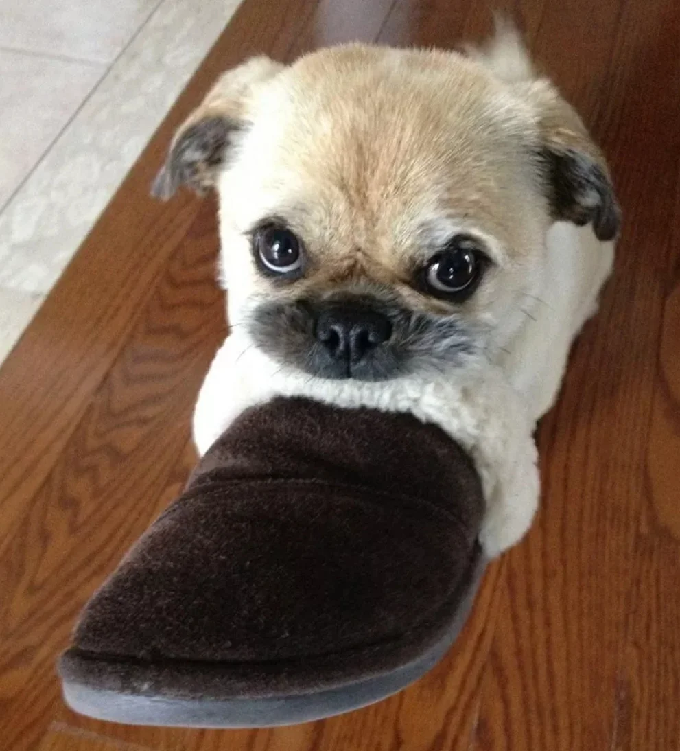 SmartSelect_20200815-112517_Samsung Internet.webp