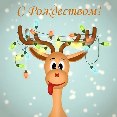 smeshnoe-pozdravlenie-s-rozhdestvom.webp