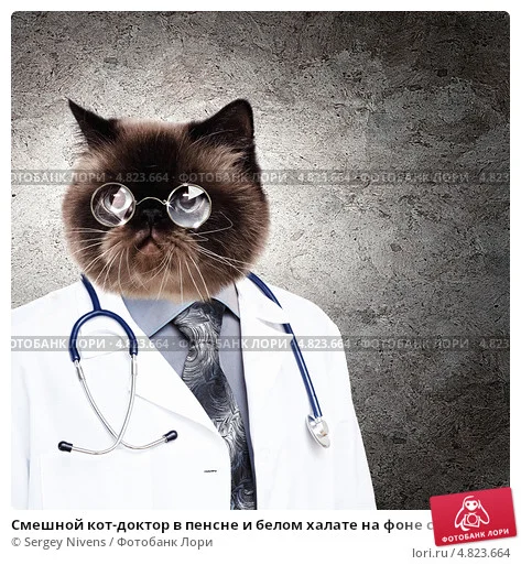 smeshnoi-kot-doktor-v-pensne-i-belom-halate-na-fone-0004823664-preview.webp