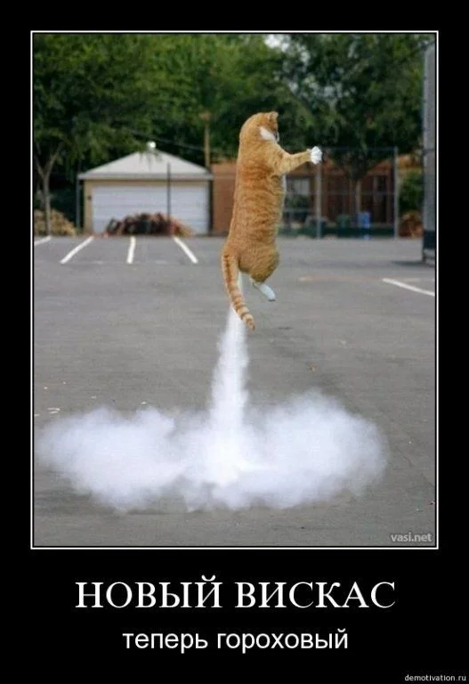 смешные-демотиваторы-4157.webp