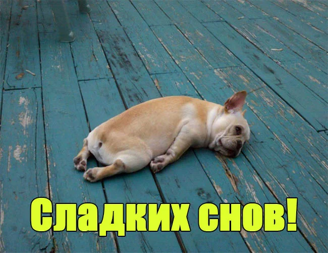 Смешные-картинки-спокойной-ночи-прикольные-интересные-2.webp