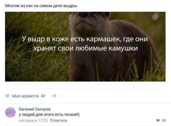 smeshnye-kommentarii-iz-socialnyh-setej-29.webp