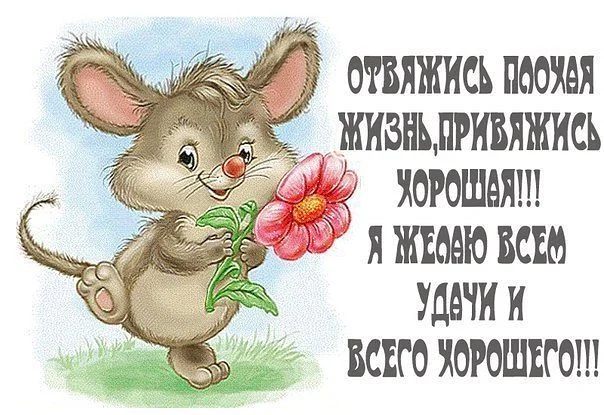 smile07.webp