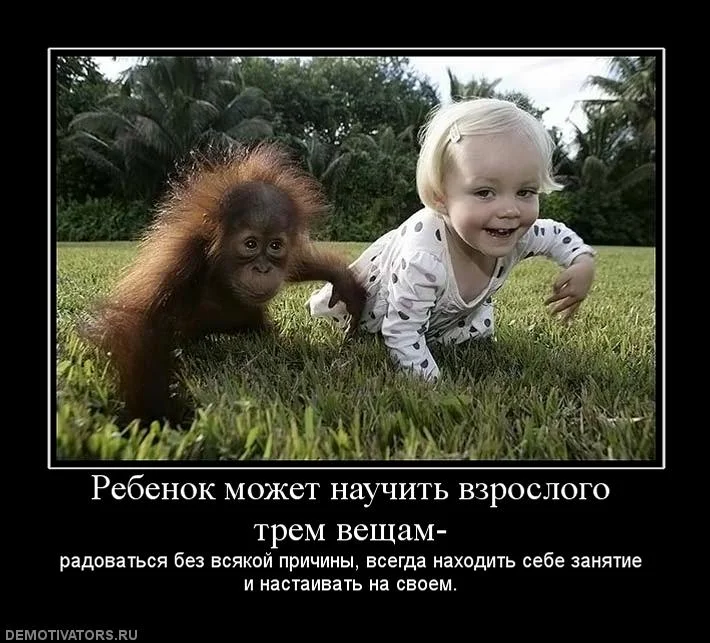 smile12.webp