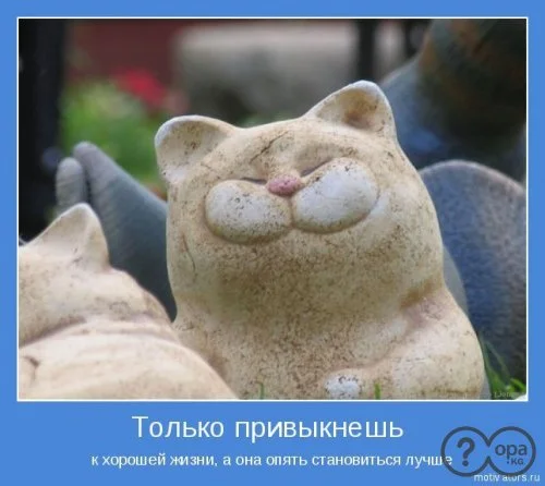 smile17.webp