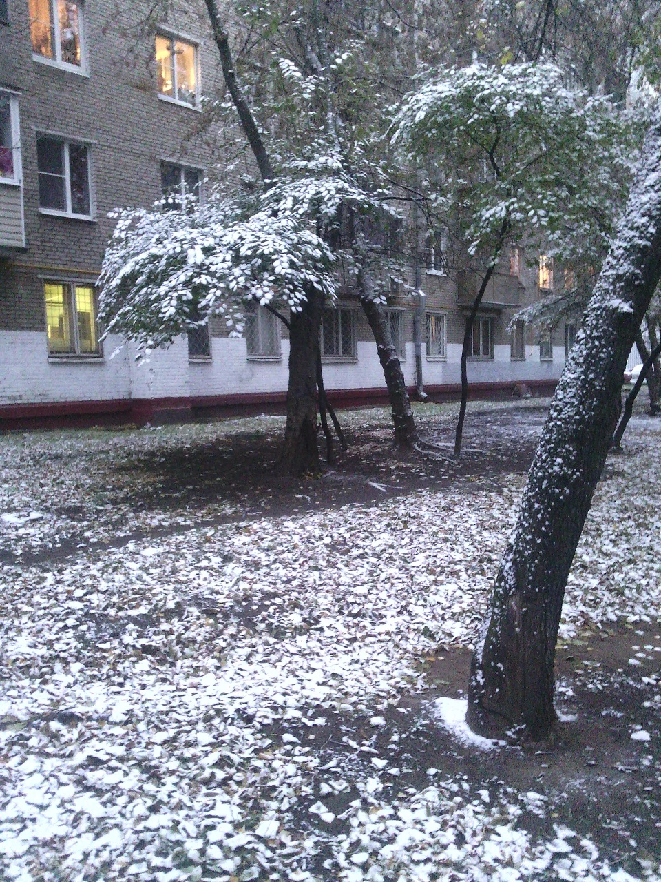 снегастый снег 1.webp