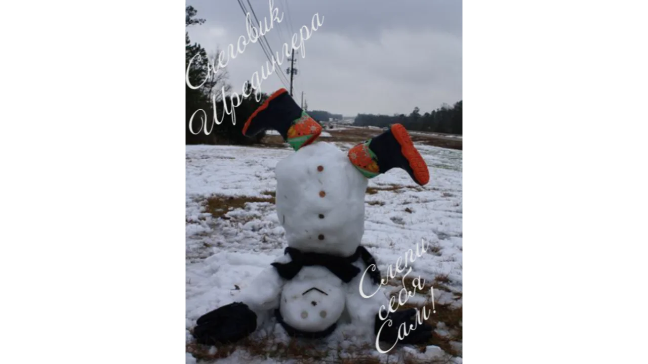 Снеговик Шредингера2.webp