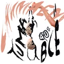 Снимаем всё Tuma.webp