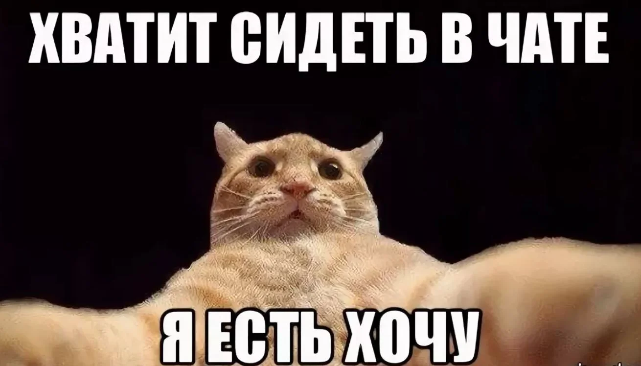 Снимок 111.webp