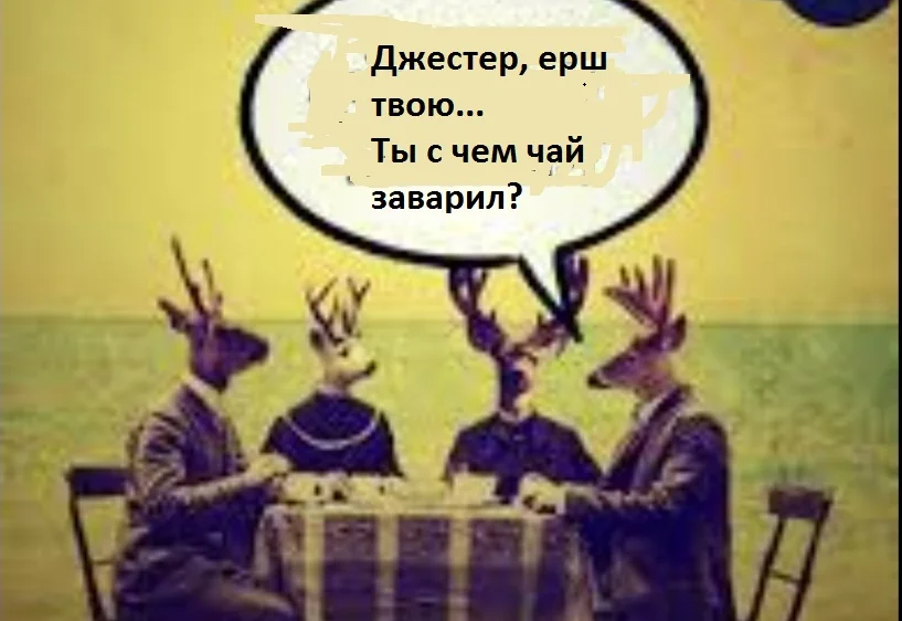 Снимок экрана (11).webp