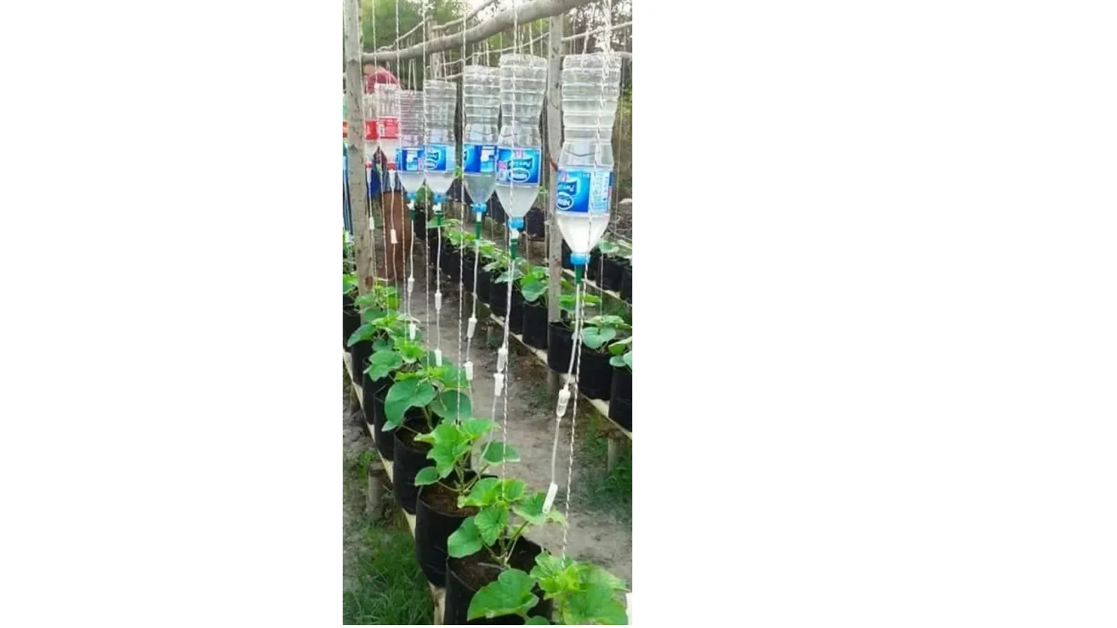 Снимок экрана (132).webp