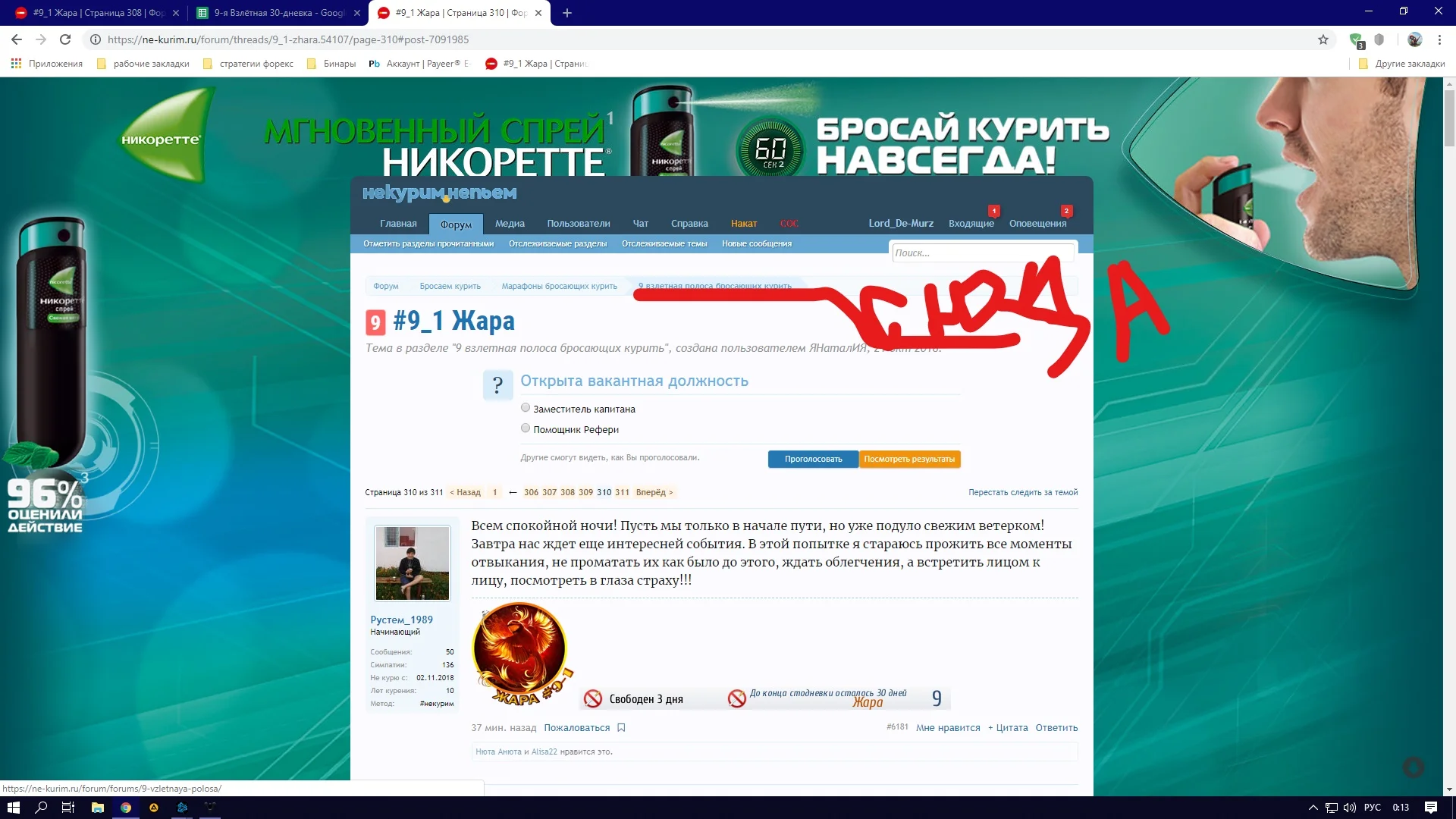 Снимок экрана (17)_LI.webp