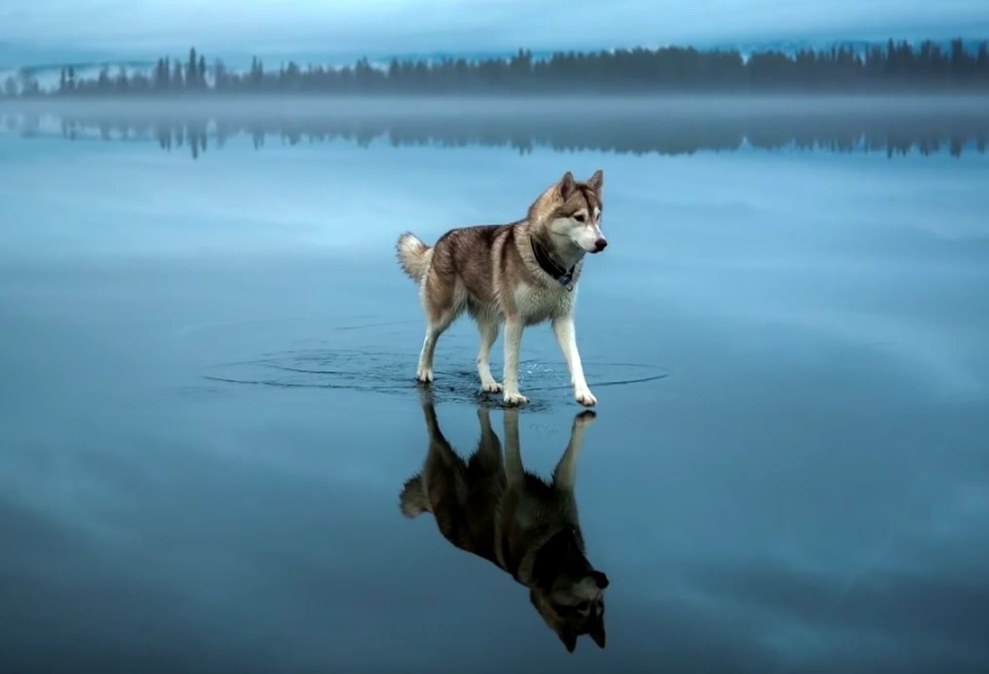 Снимок экрана 2016-03-21 в 11.20.19.webp