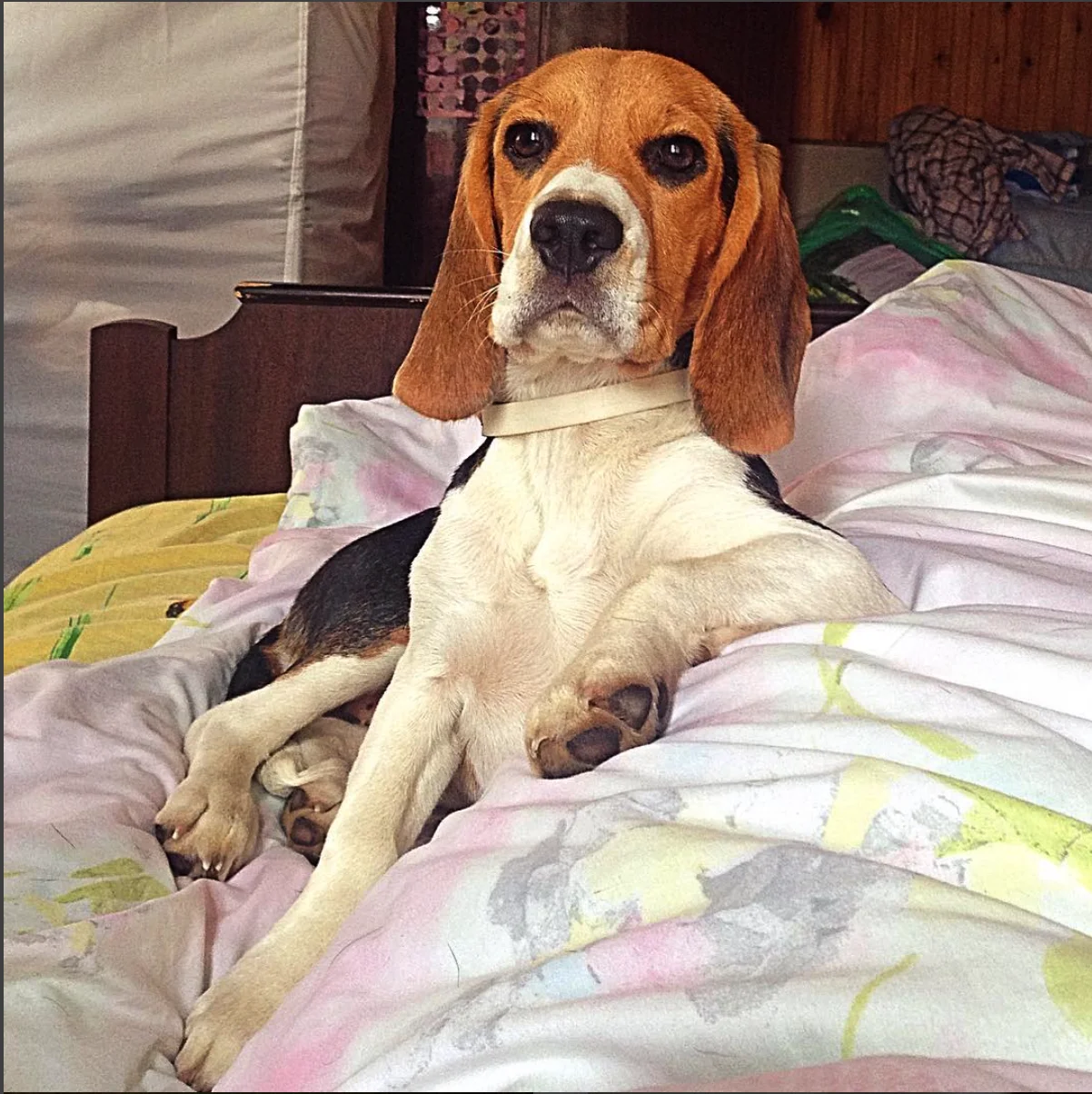 Снимок экрана 2016-06-13 в 10.35.09.webp