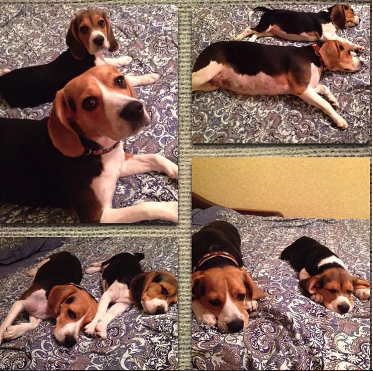 Снимок экрана 2016-06-13 в 11.00.00.webp