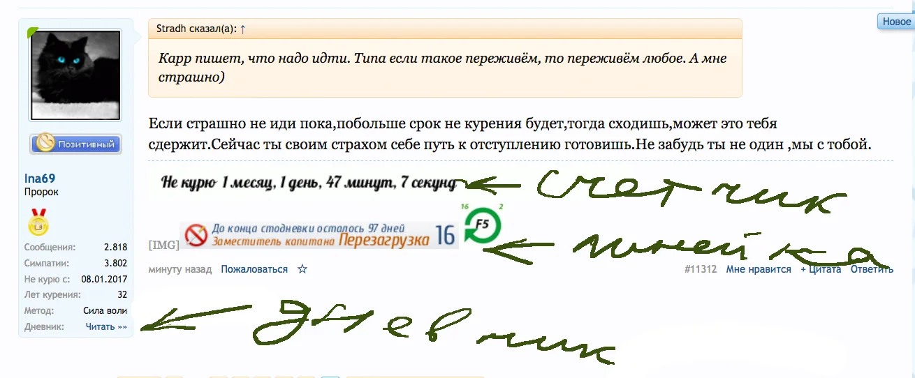 Снимок экрана 2017-02-09 в 18.01.56.webp