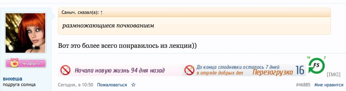 Снимок экрана 2017-05-10 в 11.54.45.webp