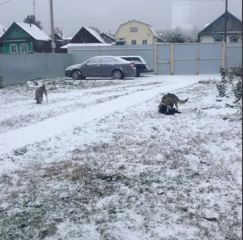 Снимок экрана 2017-10-26 в 20.38.38.webp