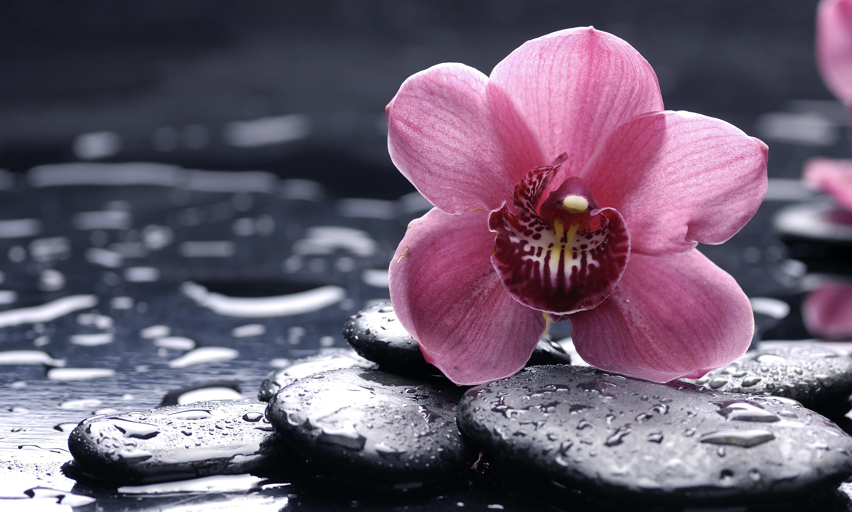 Снимок экрана 2021-12-09 в 13.36.33.png