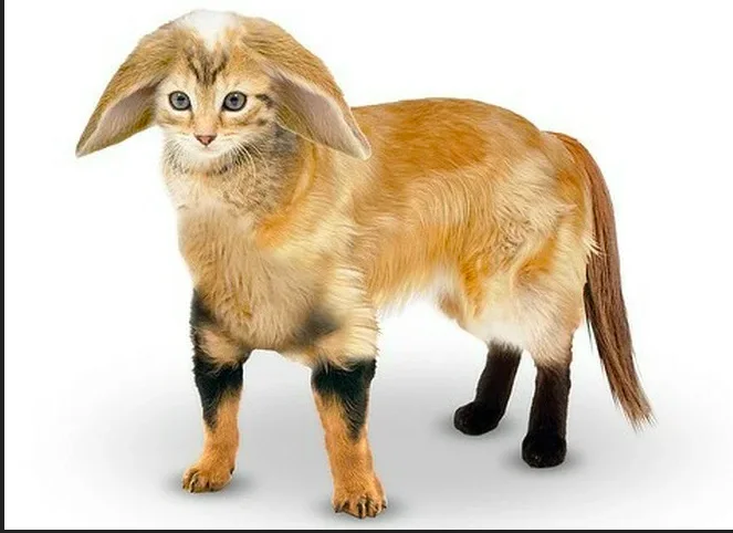 Снимок экрана 2022-12-30 в 9.23.47.webp