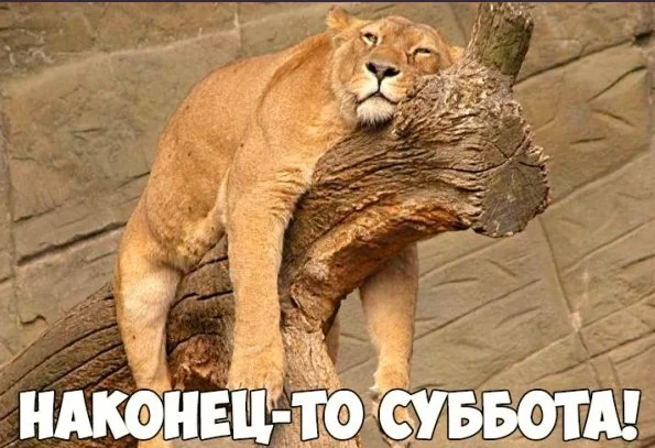 Снимок экрана 2025-09-20 144242.webp