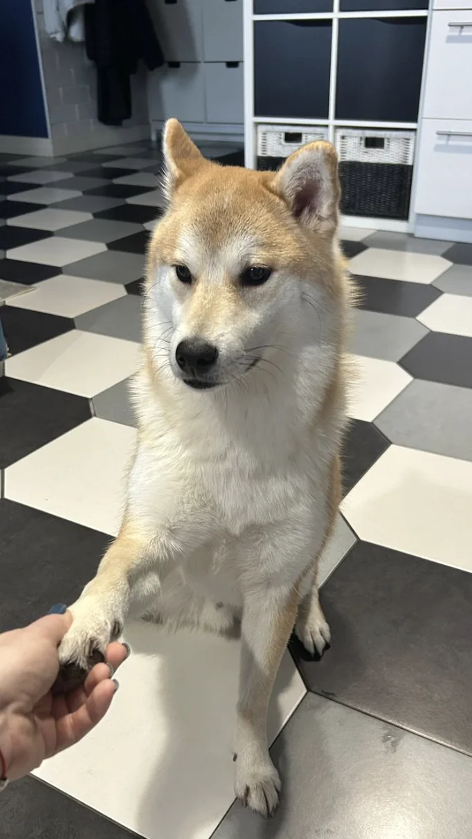 Снимок экрана 2025-11-19 в 15.08.03.webp