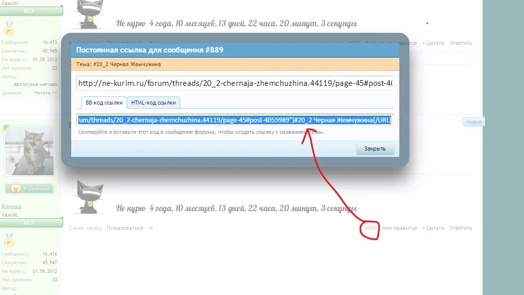 Снимок экрана (295)_LI.webp