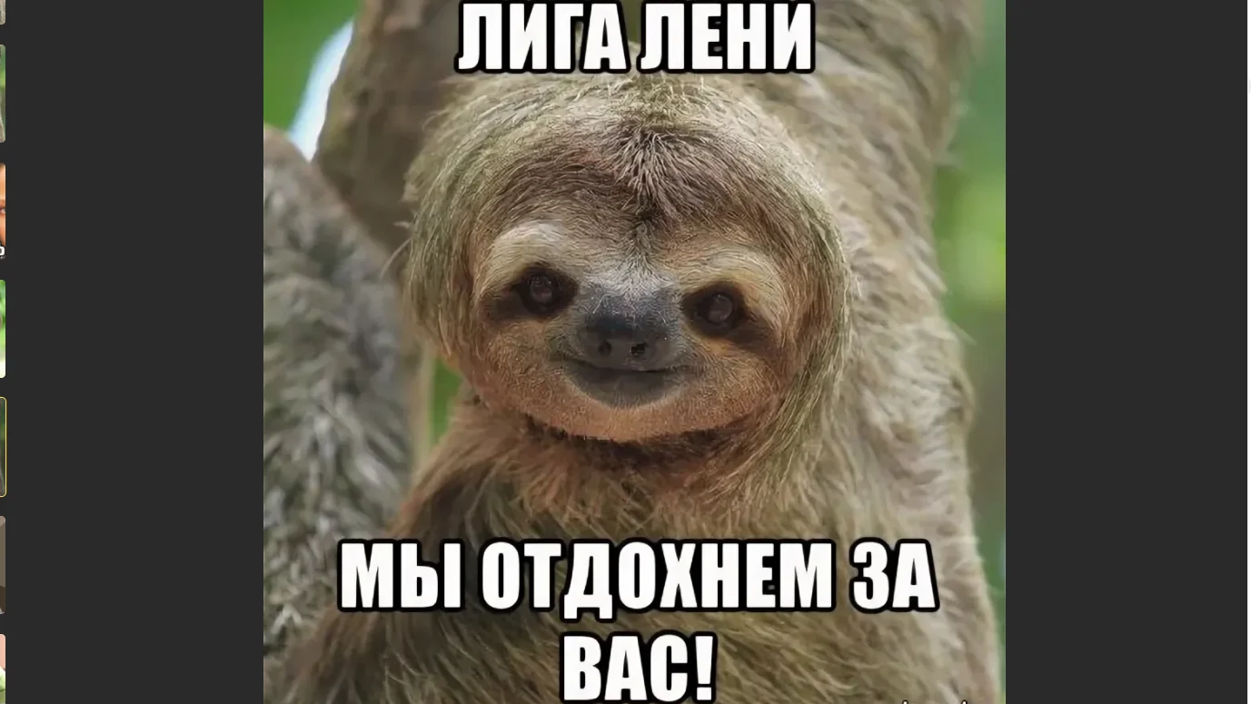 Снимок экрана (592).webp