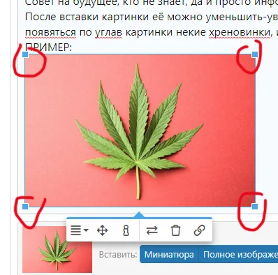 Снимок экрана (8).png