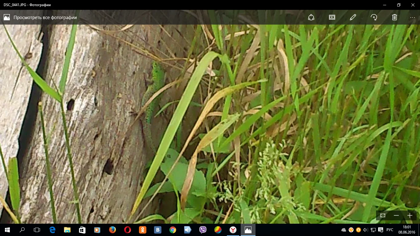 Снимок экрана (81).webp