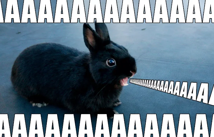 Снимок экрана20200224112920.webp