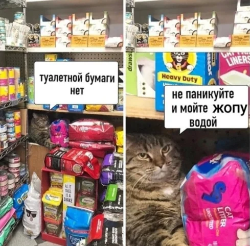 Снимок экрана20200322212936.webp