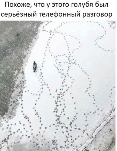 Снимок экрана20200322222604.webp