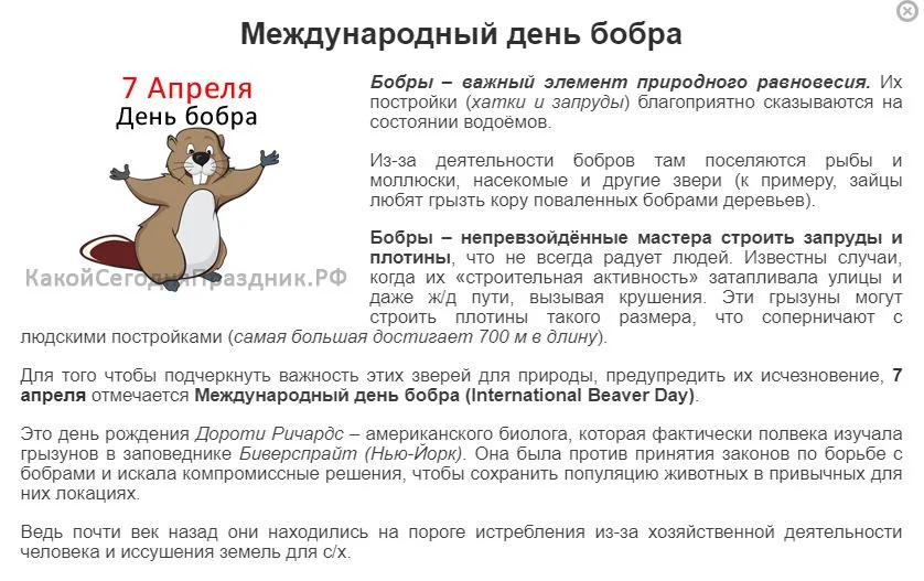 Снимок.webp